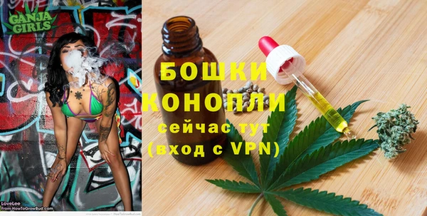 PSILOCYBIN Армянск