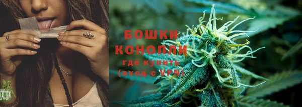 PSILOCYBIN Армянск