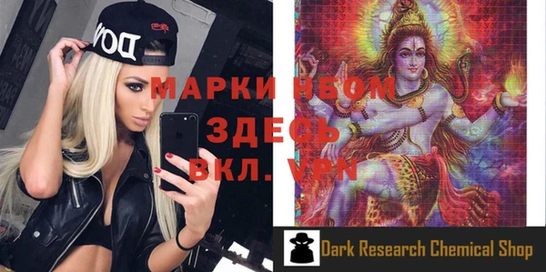 гашик Арсеньев
