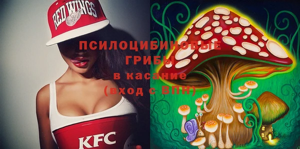 PSILOCYBIN Армянск