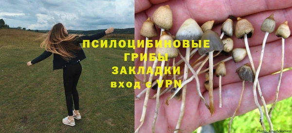 гашик Арсеньев