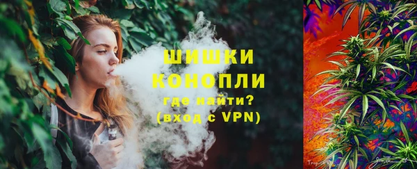 PSILOCYBIN Армянск