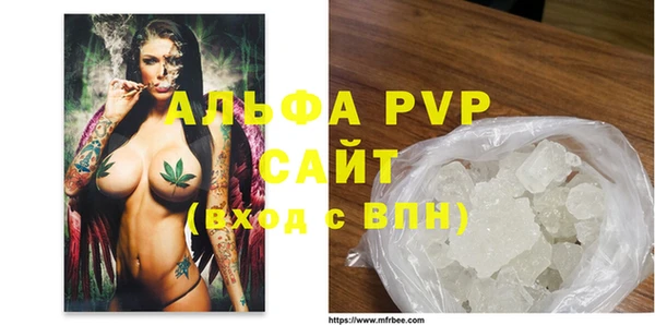 гашик Арсеньев