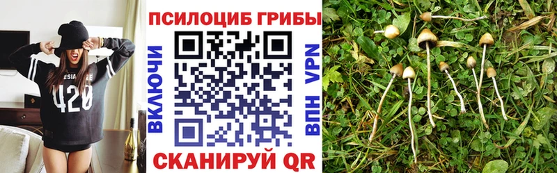 Галлюциногенные грибы мухоморы  сколько стоит  Медынь 